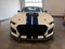 2021 Ford Mustang Shelby GT500