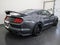 2019 Ford Mustang Shelby GT350R