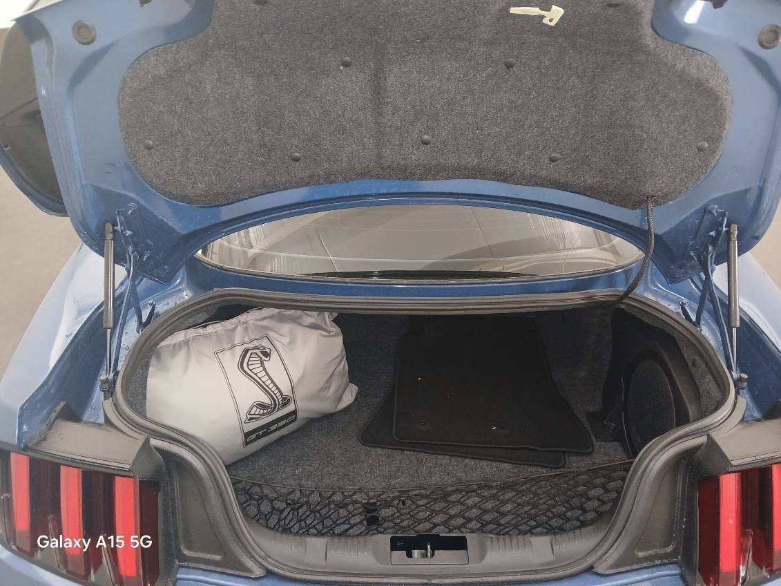 2019 Ford Mustang Shelby GT350