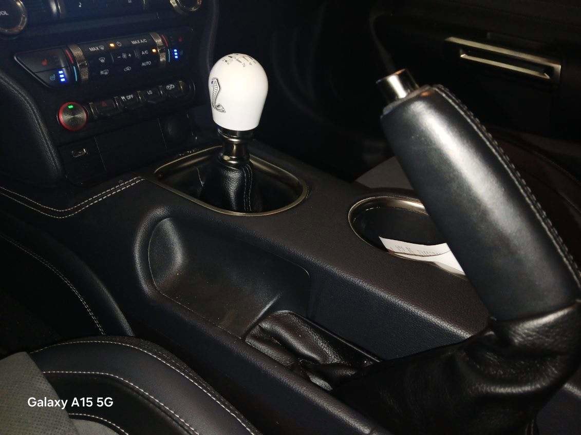 2019 Ford Mustang Shelby GT350