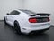 2017 Ford Mustang Shelby GT350