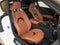 2026 Toyota GR Supra 3.0 Premium
