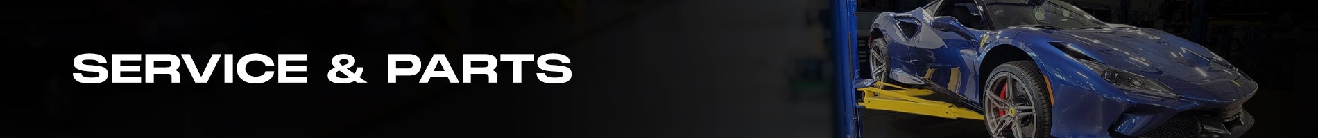 Luxury Sport Service Banner